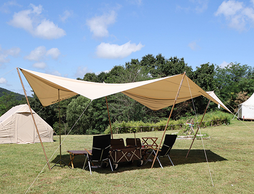 纺织面料款案例-绍兴创腾新材料科技有限公司