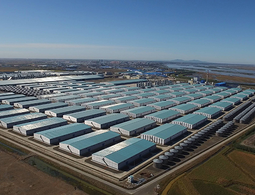 粮仓行业案例-绍兴创腾新材料科技有限公司